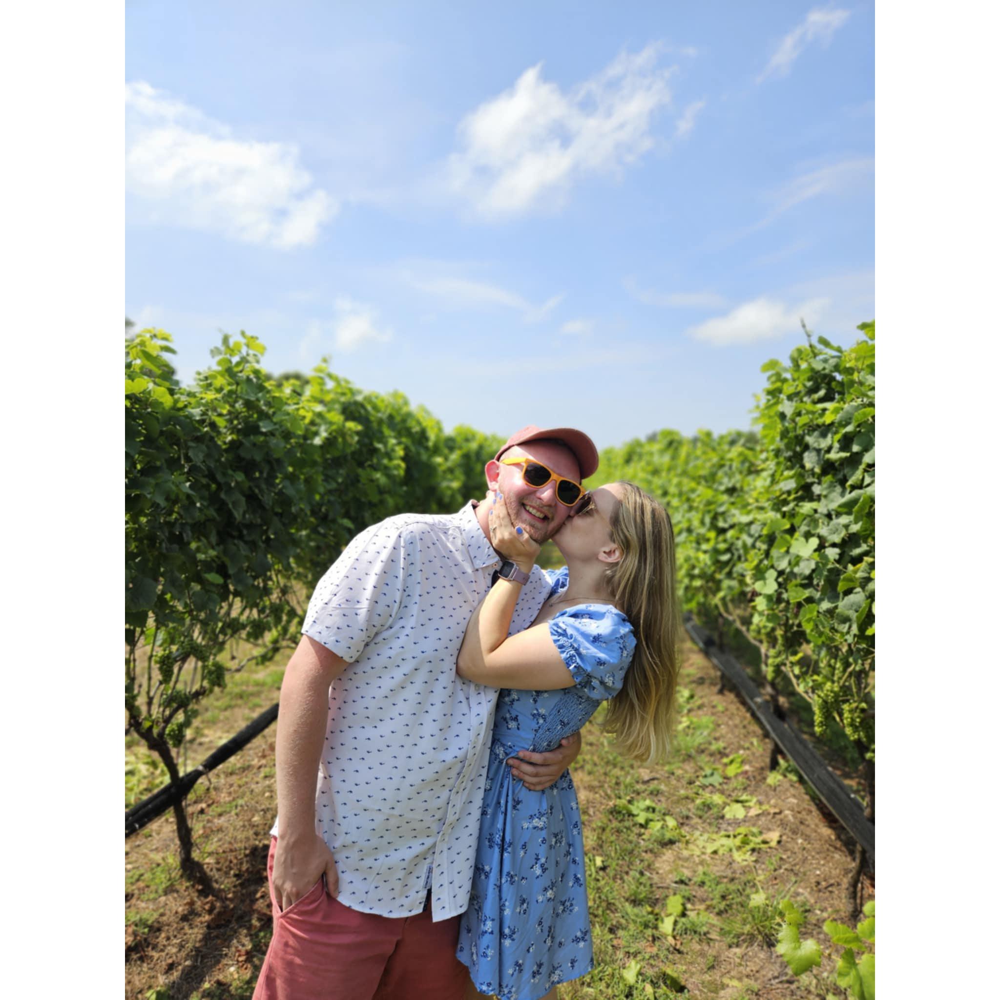 Sannino Vineyard, July 30th 2024
