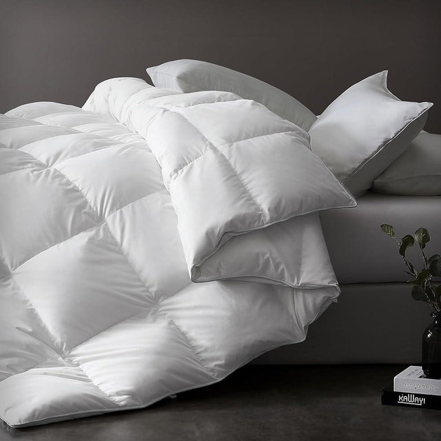 downluxe Luxurious Down Comforter Queen Size with Premium Fabric, All Seasons Medium Warmth Duvet Insert Queen, Hotel Collection Down Comforter Queen Size with Corner Tabs (90x90, Queen, White)