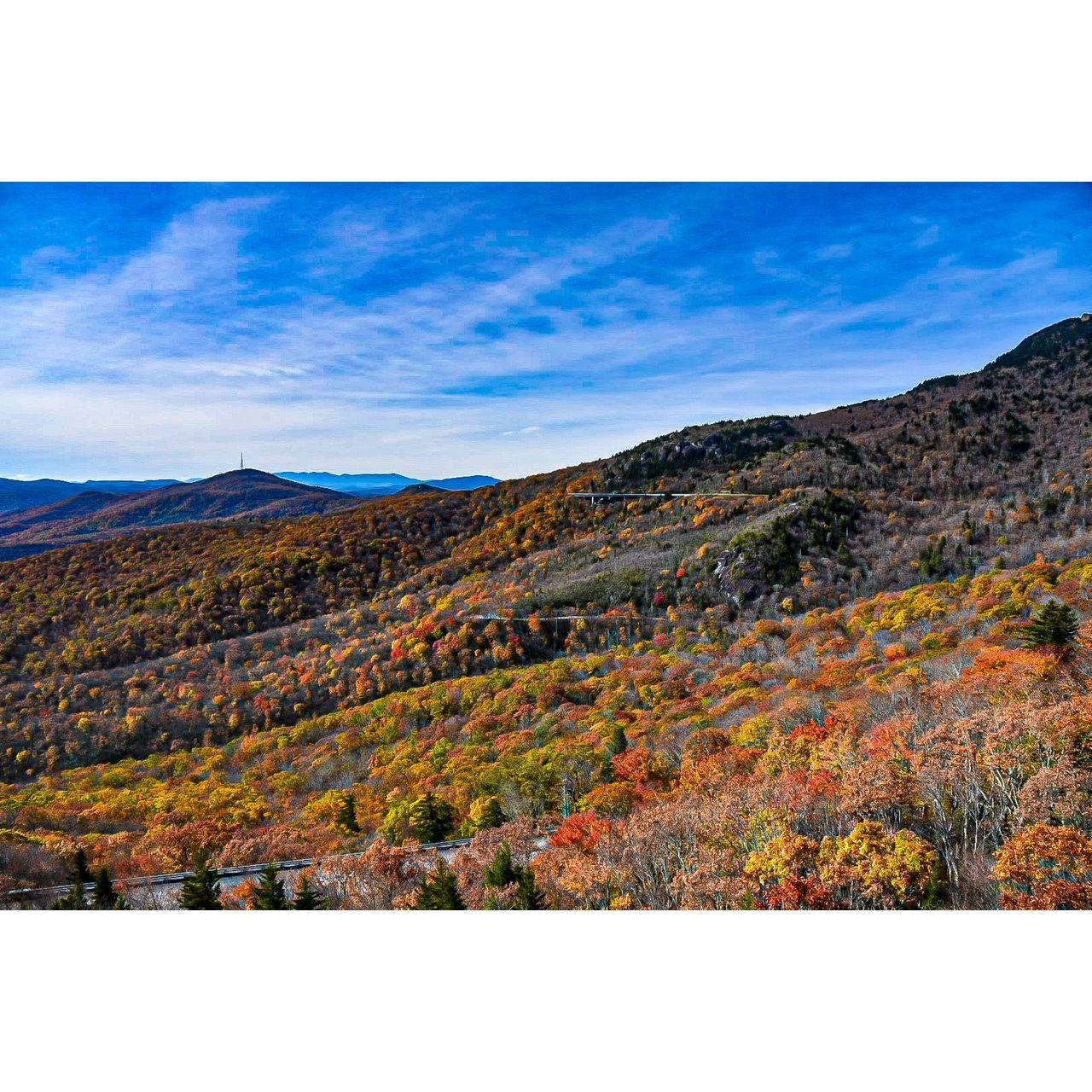 Rough Ridge (outside Blocking Rock) NC