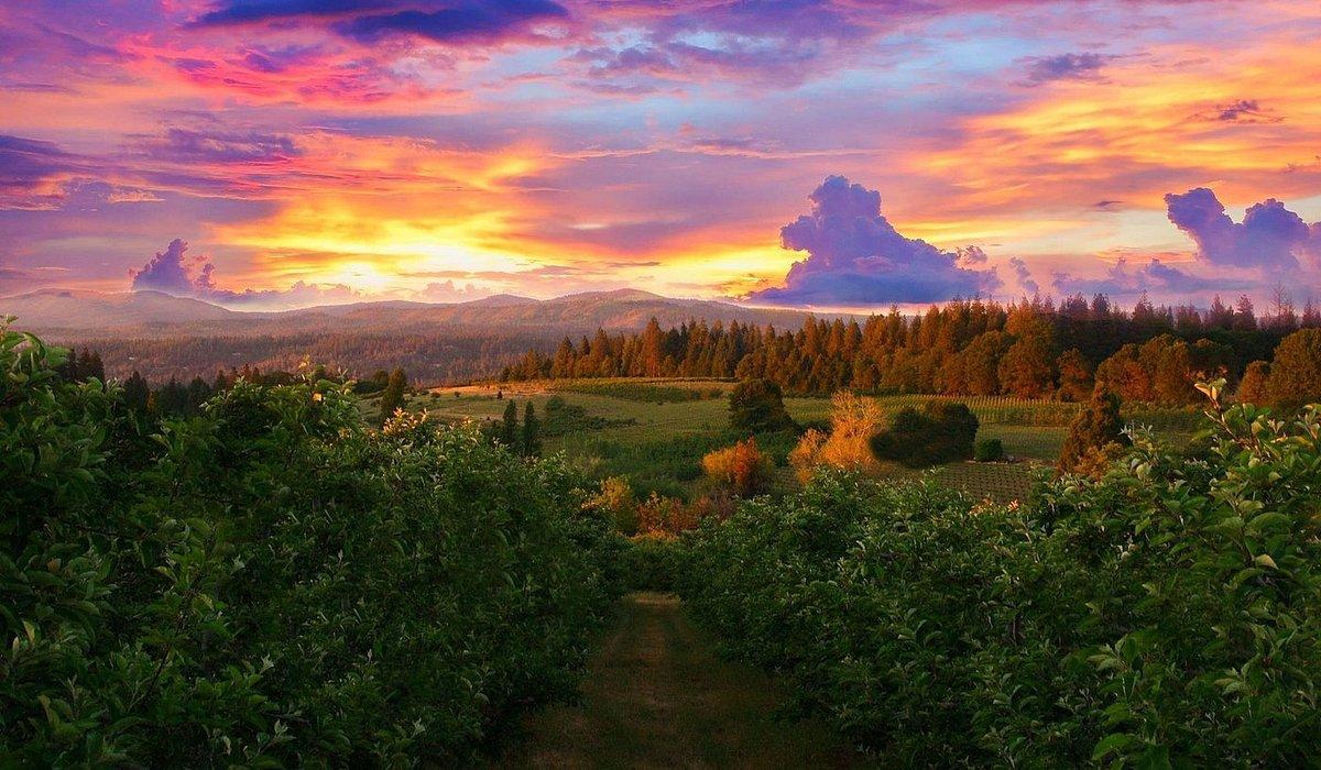 The Wedding Website of Hristiani Peneva and Dylan Jimenez