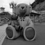 Teddy Bear Park