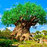 Disney's Animal Kingdom