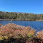 Mud Lake Trail at Robert V. Riddell State Park