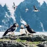 Skellig Islands
