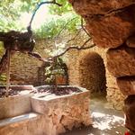 Forestiere Underground Gardens