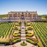 Domaine Carneros