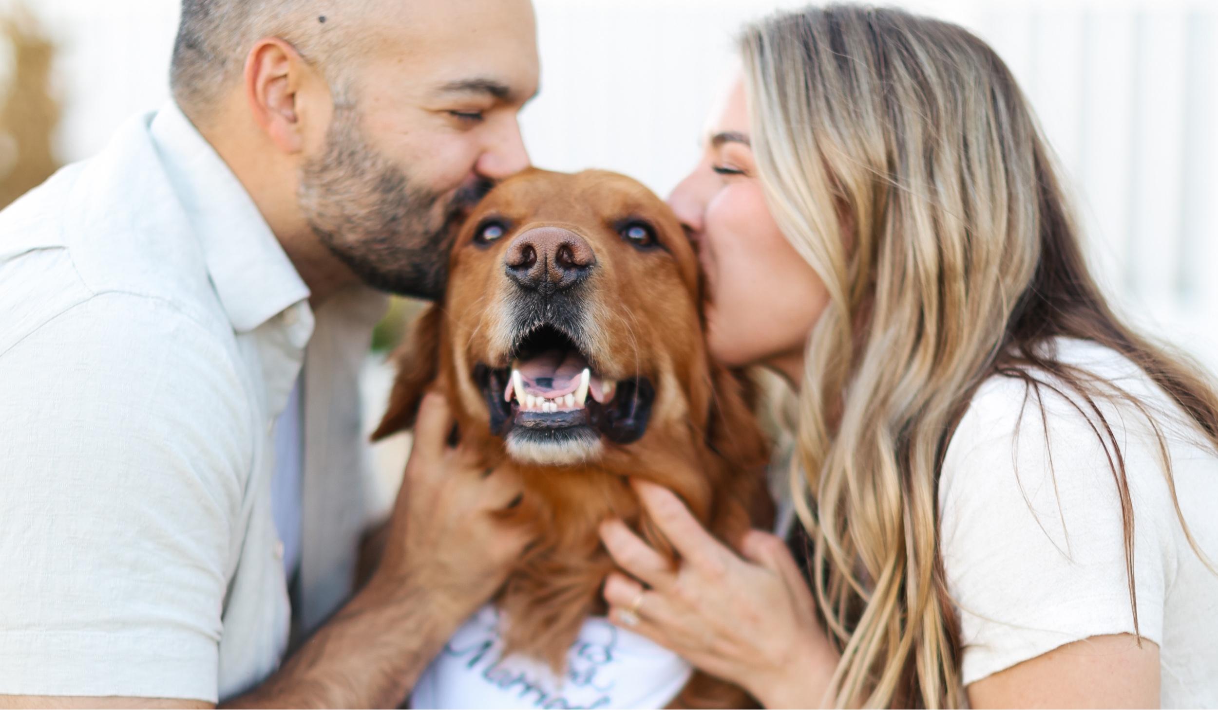 The Wedding Website of Anthony Thompson and Emily Carlson