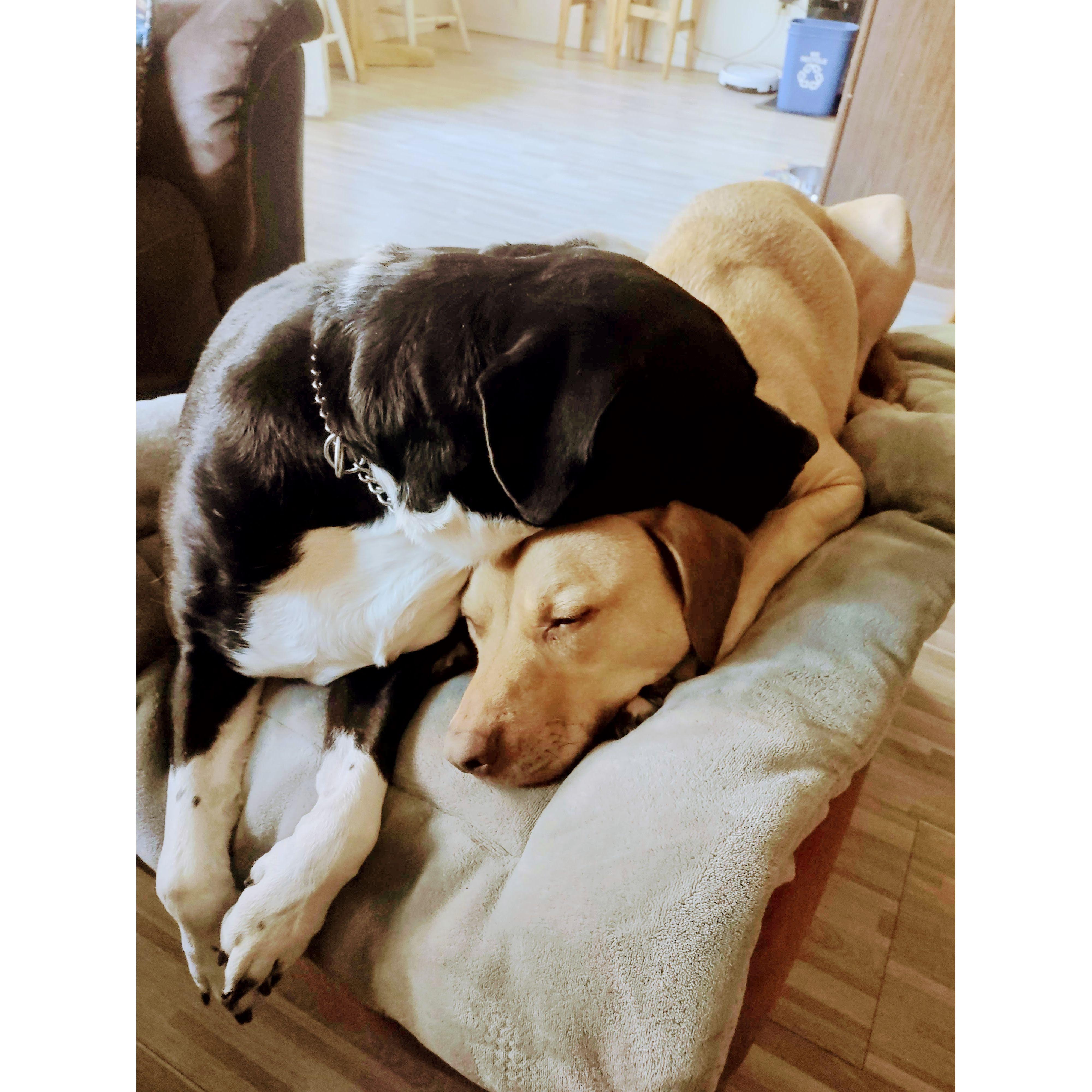 Libby and Faron, they are just so freakin' cute together.