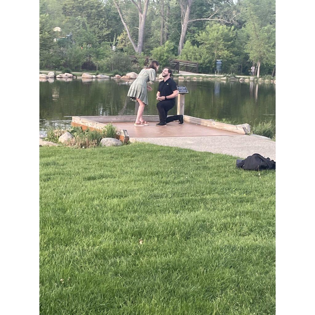 The proposal!