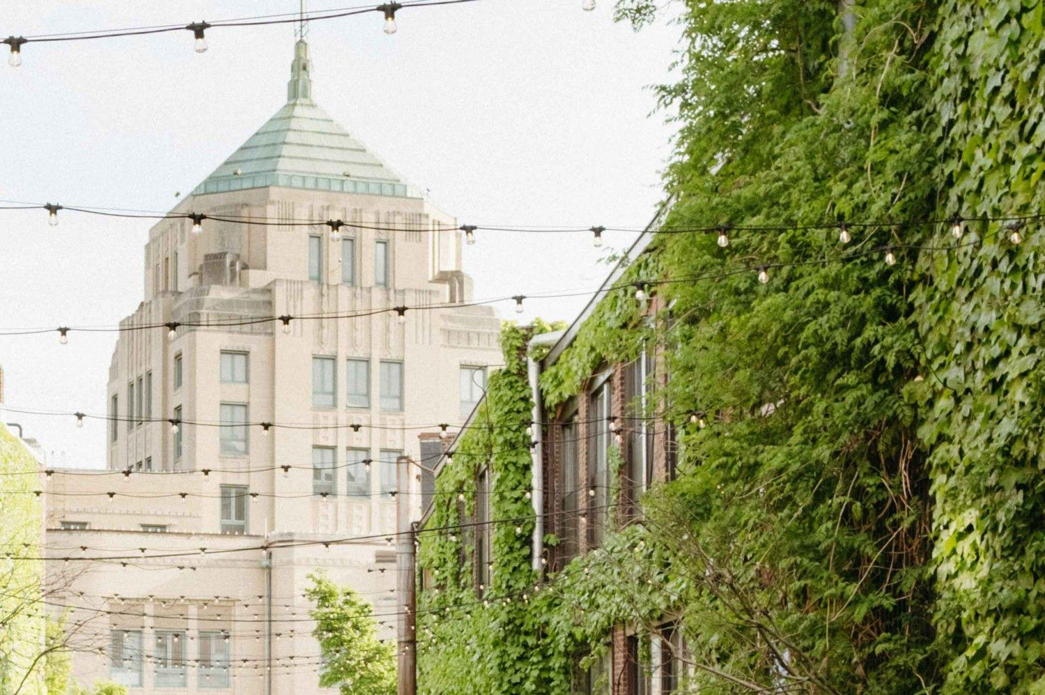 The Wedding Website of Grace Kurcab and Tom Johnson
