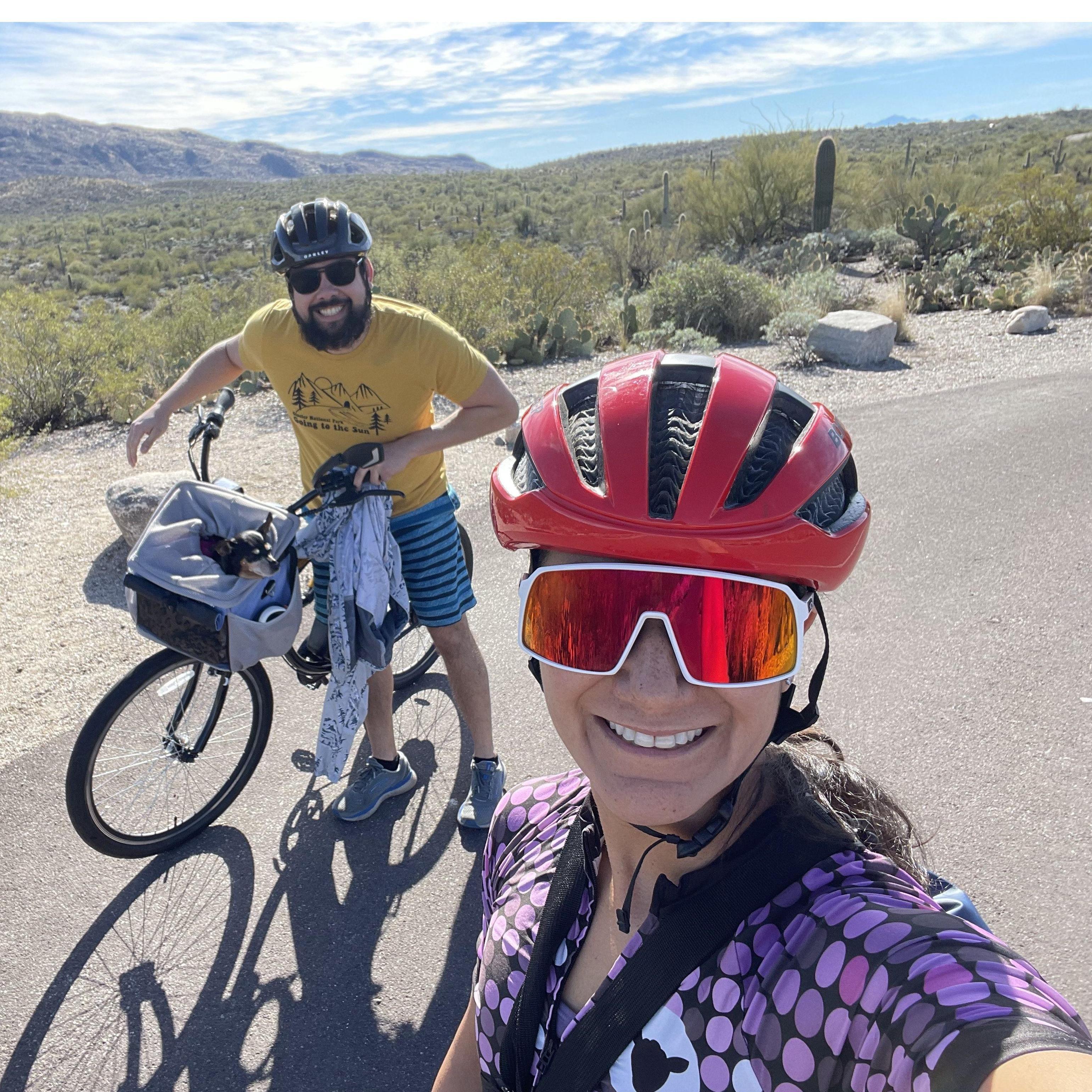 Saguaro National Park