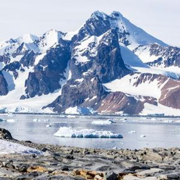 Antartica Honeymoon- Salvo said he is not going to the cold