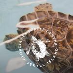 Georgia Sea Turtle Center