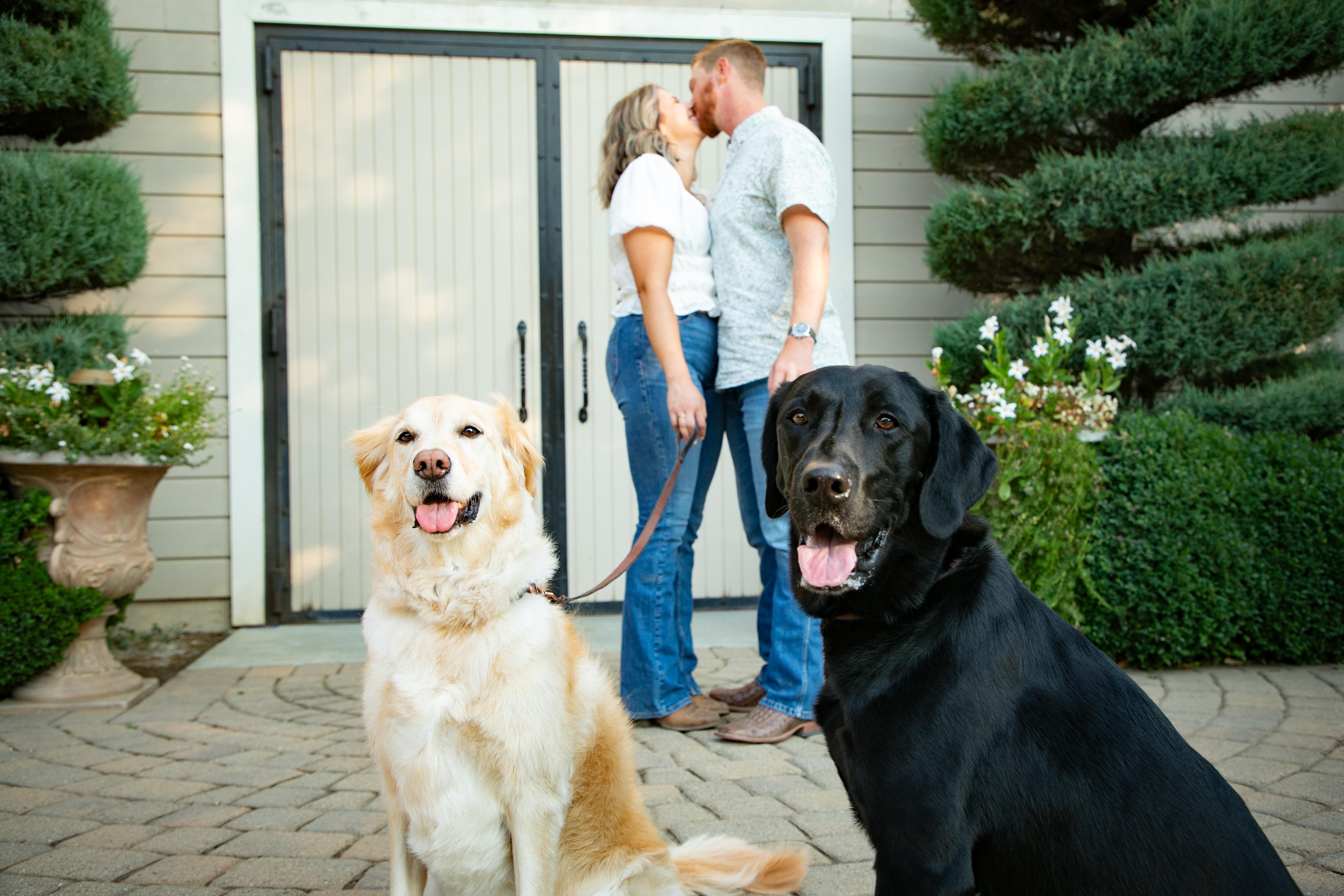 The Wedding Website of Sydnie Stewart and Jeremy Shaver