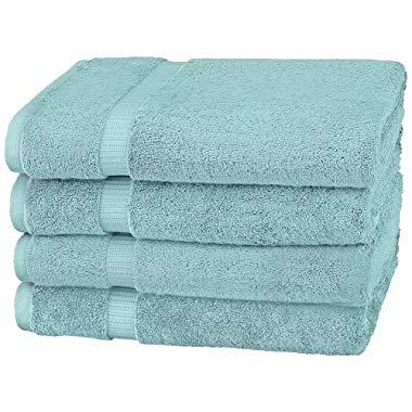 Pinzon Organic Cotton Bath Towel, Set of 4, Spa Blue