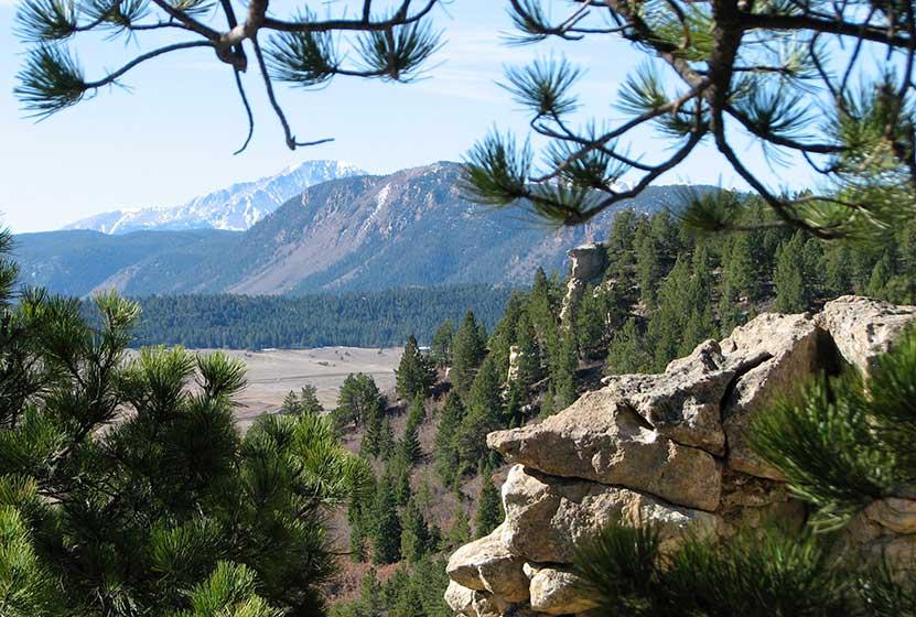 The Wedding Website of Millie Shamburger and Scott Williams