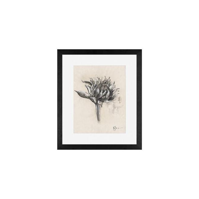 Charcoal Sunflower Sketch, Single Bloom, 11" x 13" Wood Gallery, Black, Mat