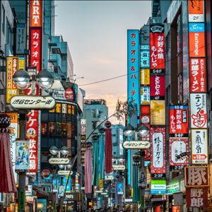 5 Night Stay In Tokyo