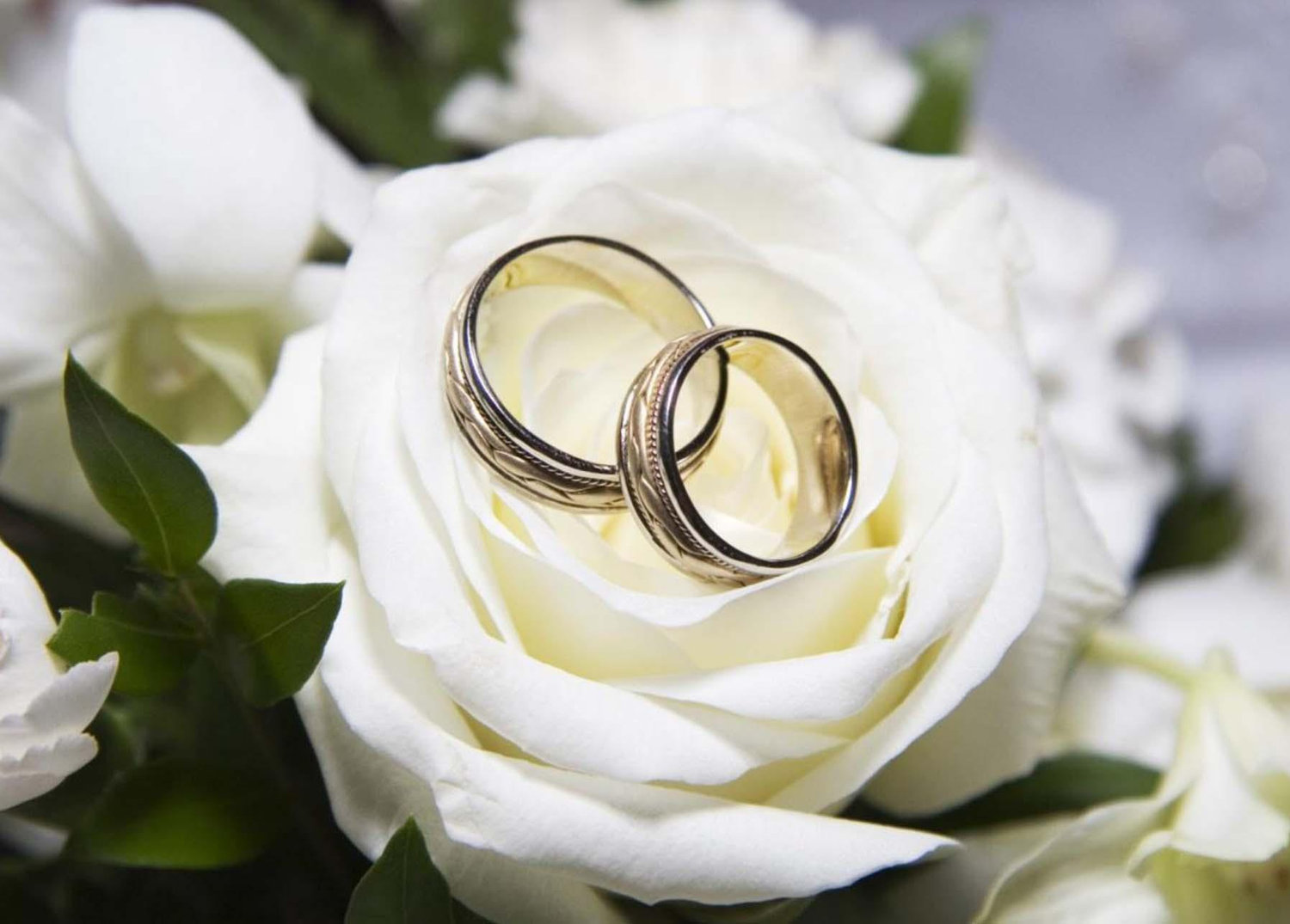 The Wedding Website of Jason Norton and Jeffrey Nims