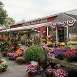 Pennings Farm and Orchard