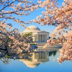 Stroll the Monuments on the National Mall
