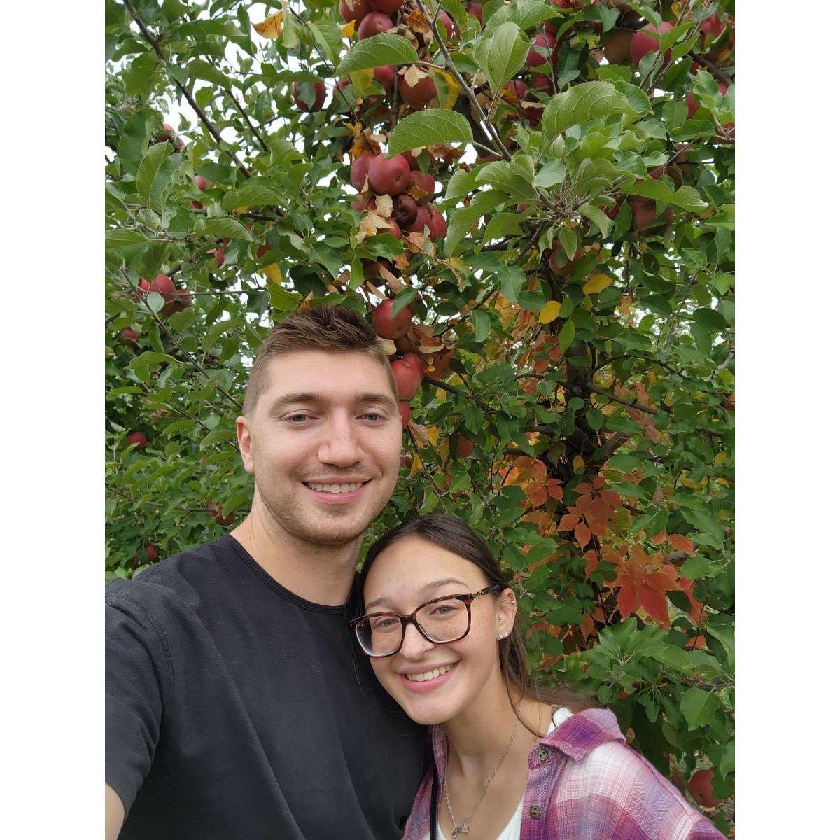 Our first time apple picking