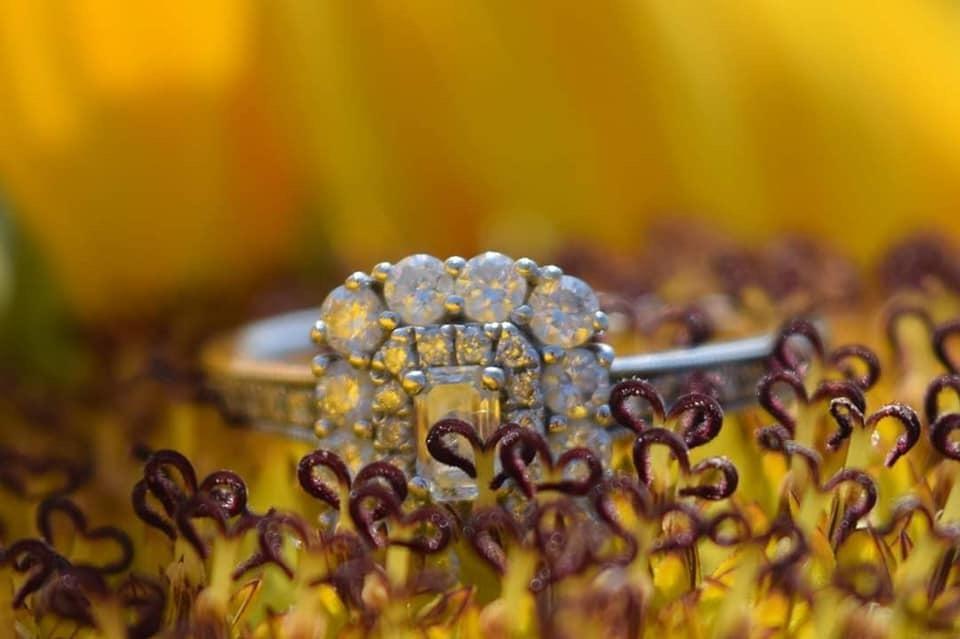 The Wedding Website of Nicole Jones and Stephen Coston