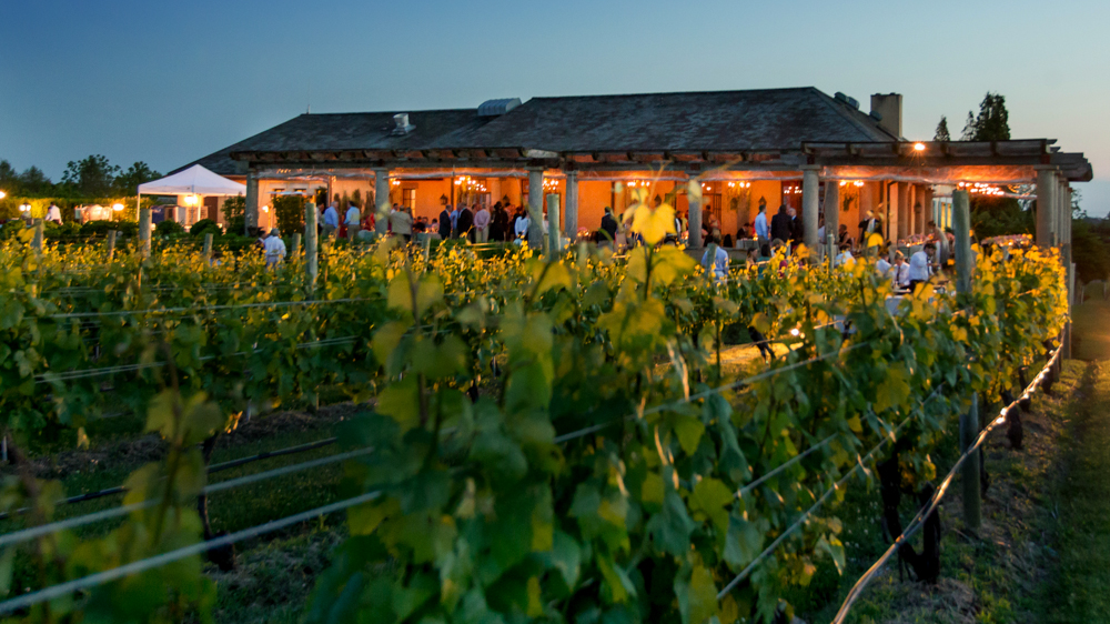 The Wedding Website of Carly Hirsch and Michael Wenner