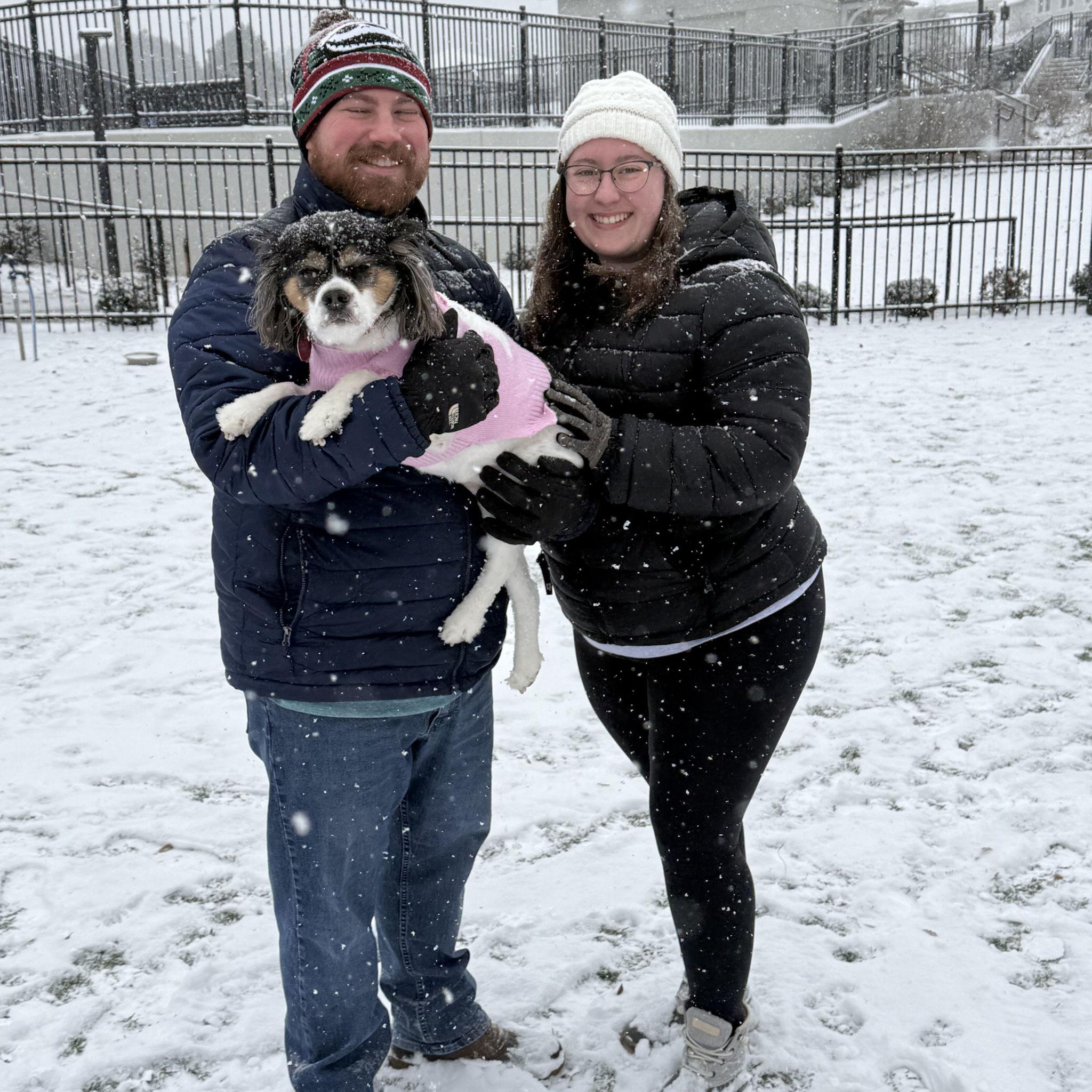 Snow in Auburn January 2025