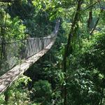 Canopy Tour