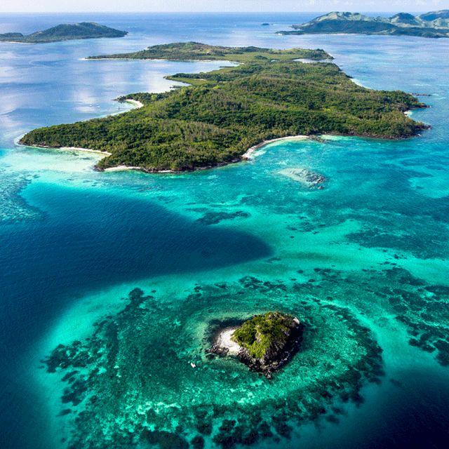Honeymoon Fund for Turtle Island