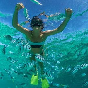 Snorkeling along the pitons