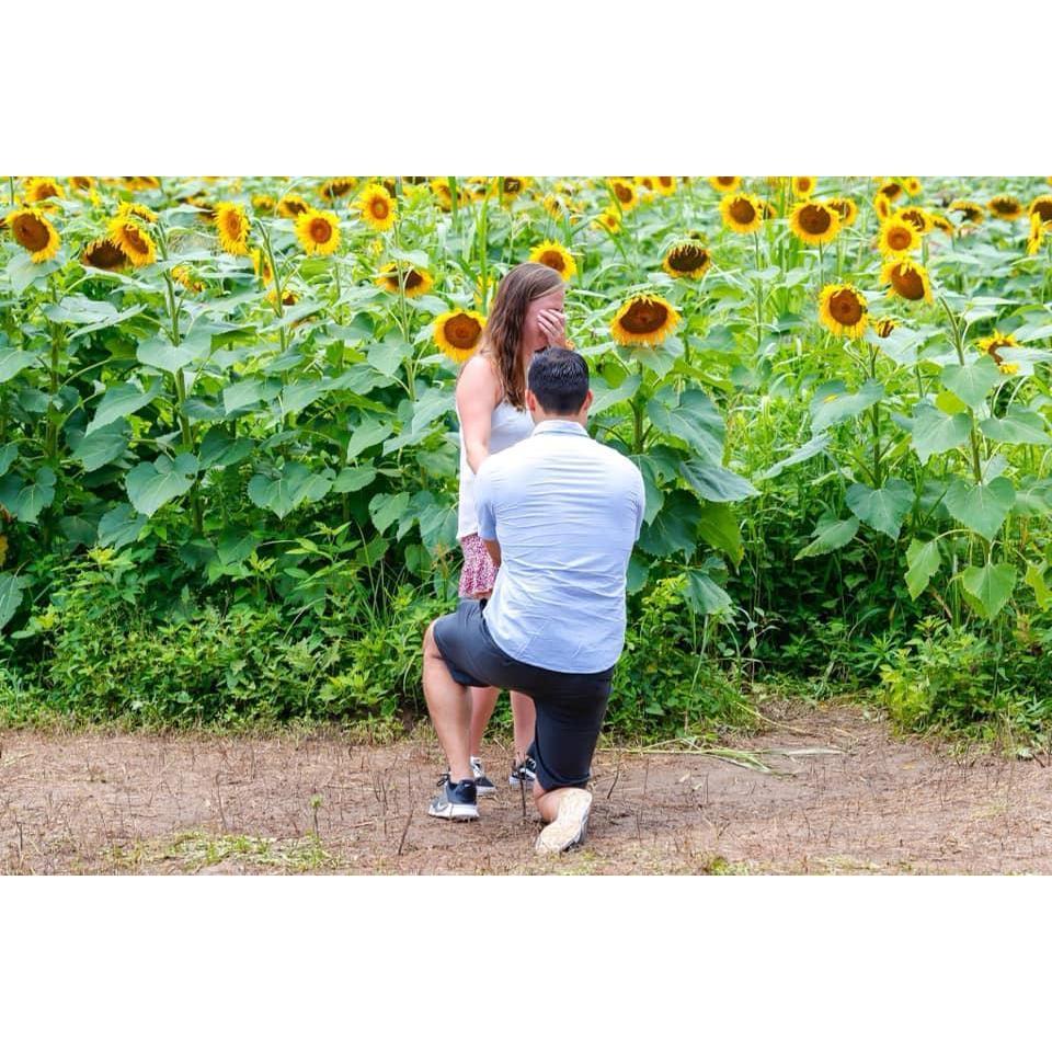 Marc popped the question, 2019