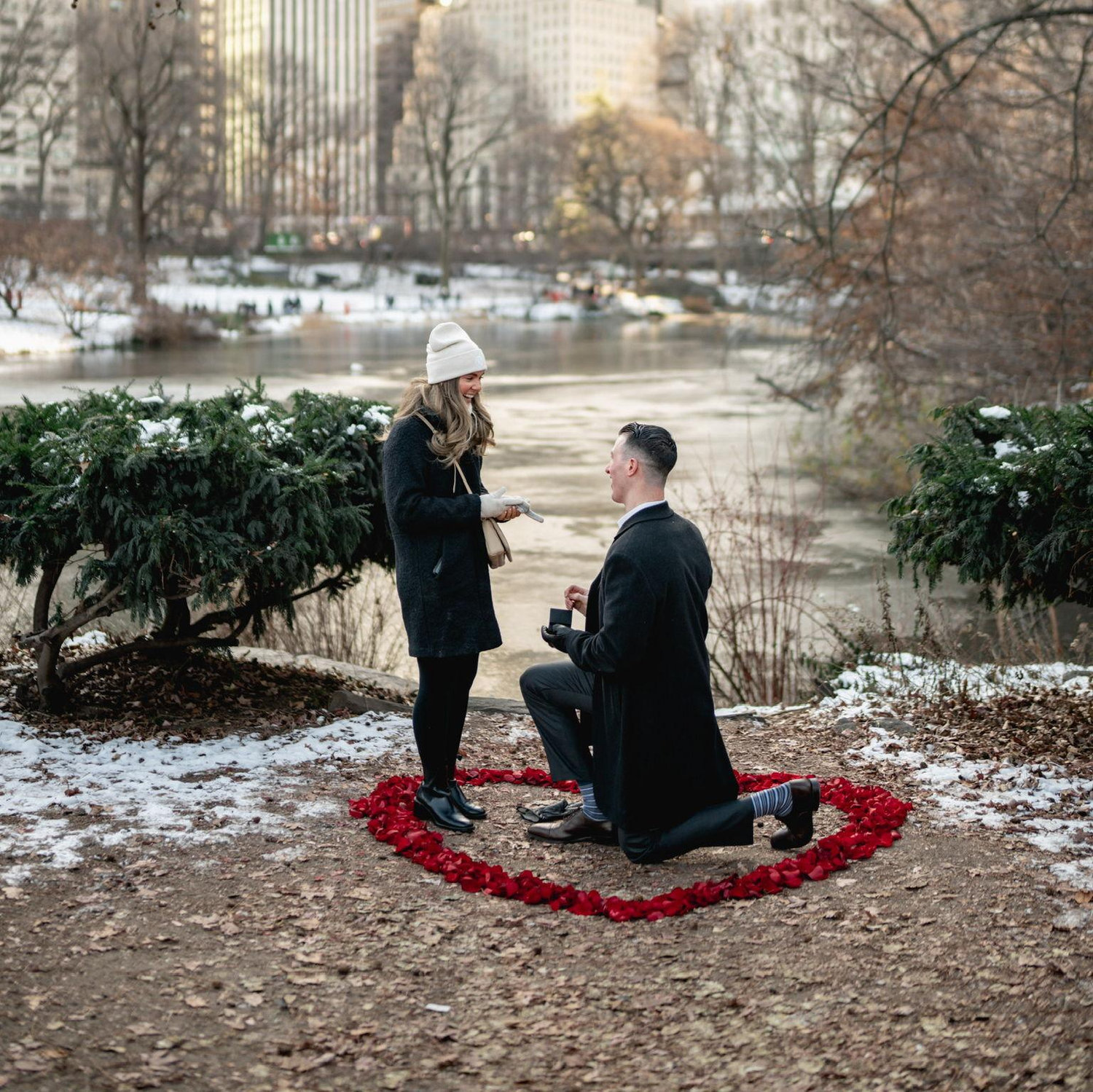 Proposal in Central Park