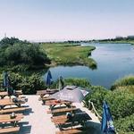 Sand Bar