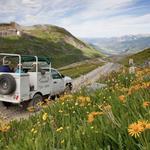 Telluride Outside Alpine Jeep Tours