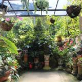 Vallarta Botanical Gardens AC