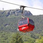 Gondola Skyride