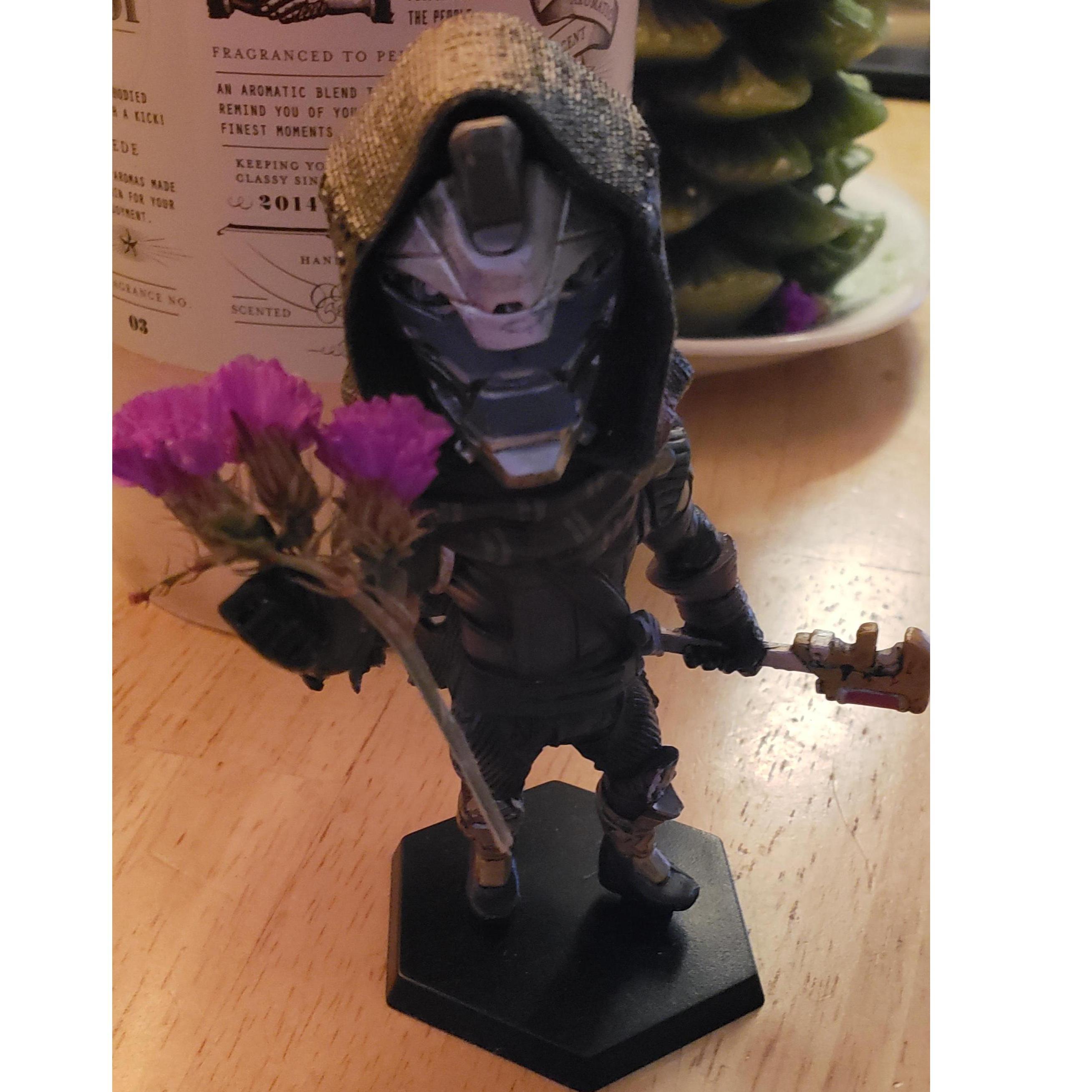B and Patrick are both big fans of Xbox's Destiny Games...this little guy is a character from thee game that happens to be presenting some flowers to B.
