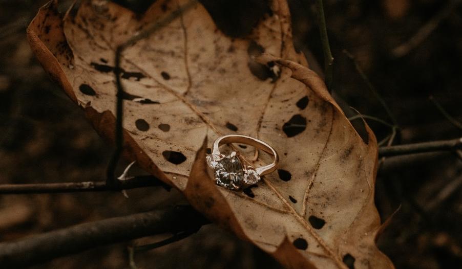 The Wedding Website of Skyler Beth Lucas and Bradley Dover Fitzsimmons