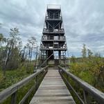 Grand Bay Wildlife Management Area