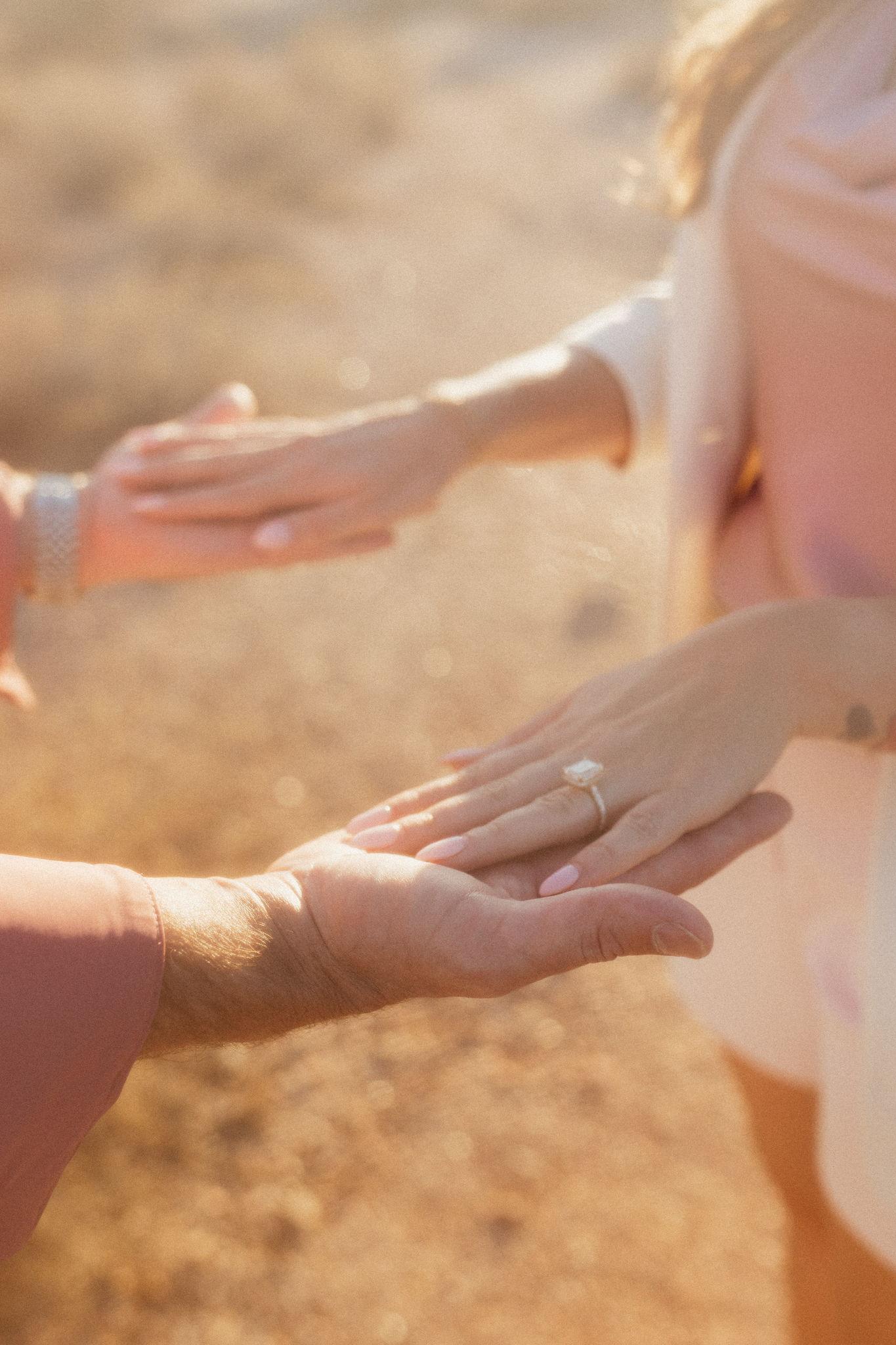 The Wedding Website of Haley Bauer and Thomas Bombara