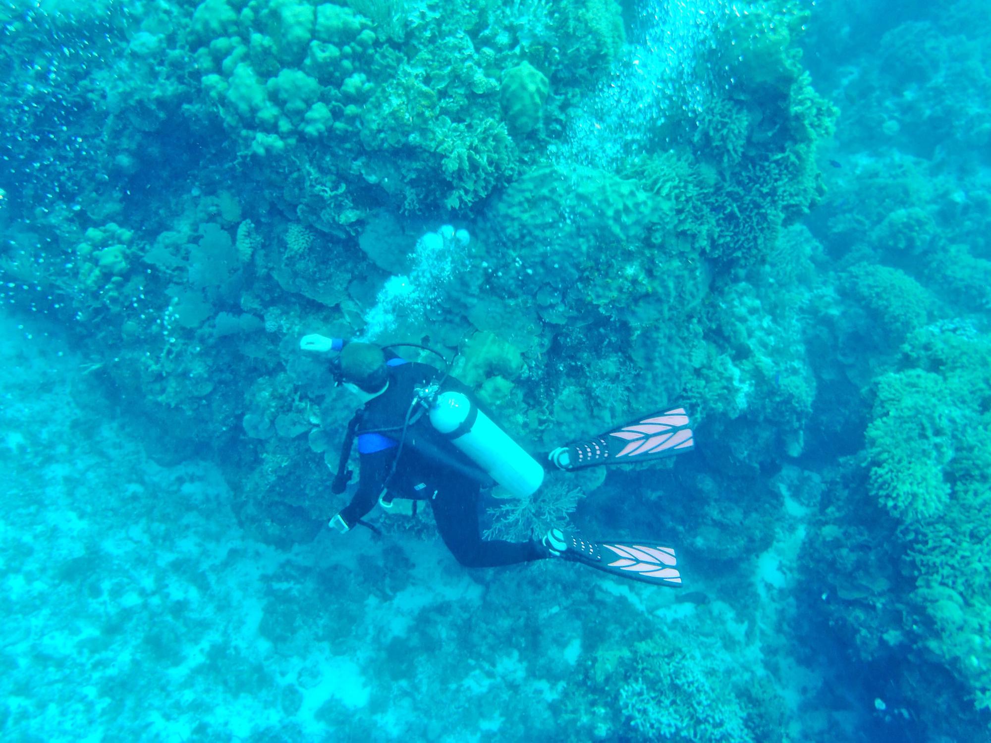 Dustin making all the bubbles on his dive
