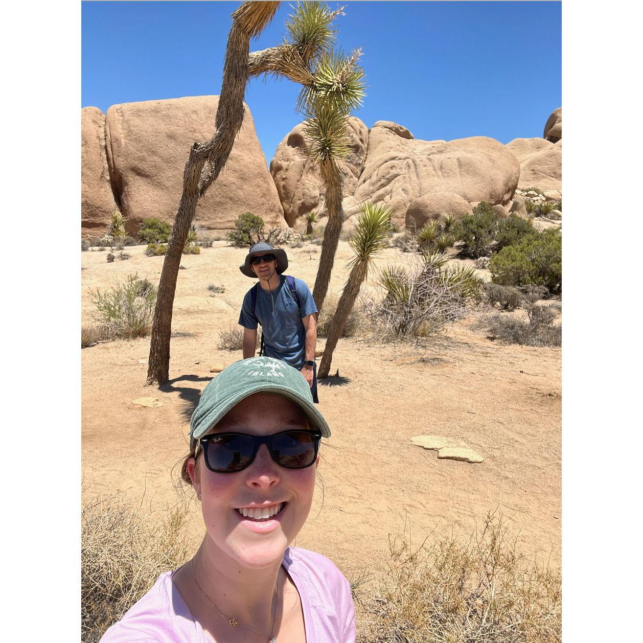 Joshua Tree National Park, California - 2022