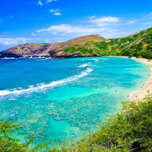 Honeymoon in Hawaii!
