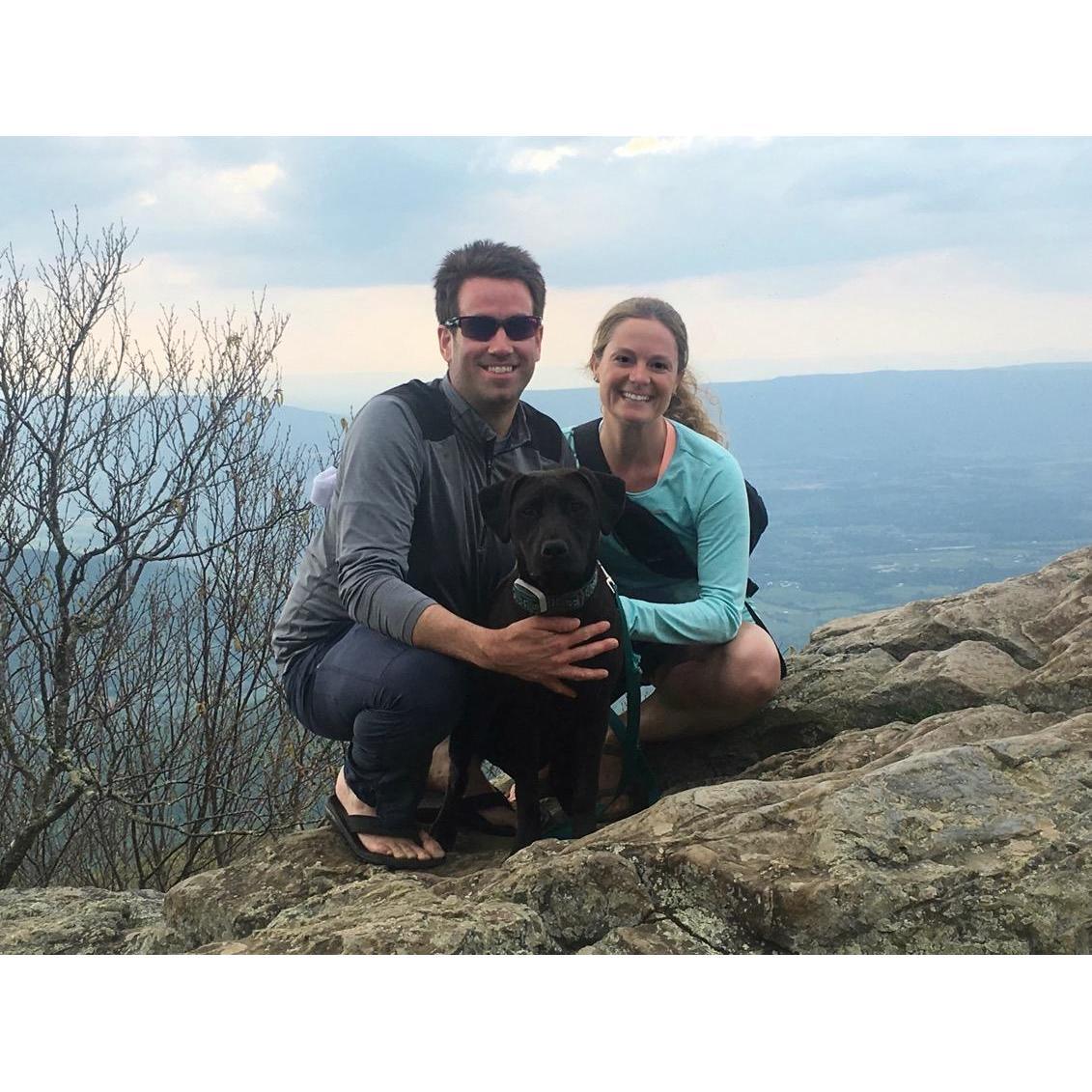 Hiking with Holly Bear in Shenandoah National Park!