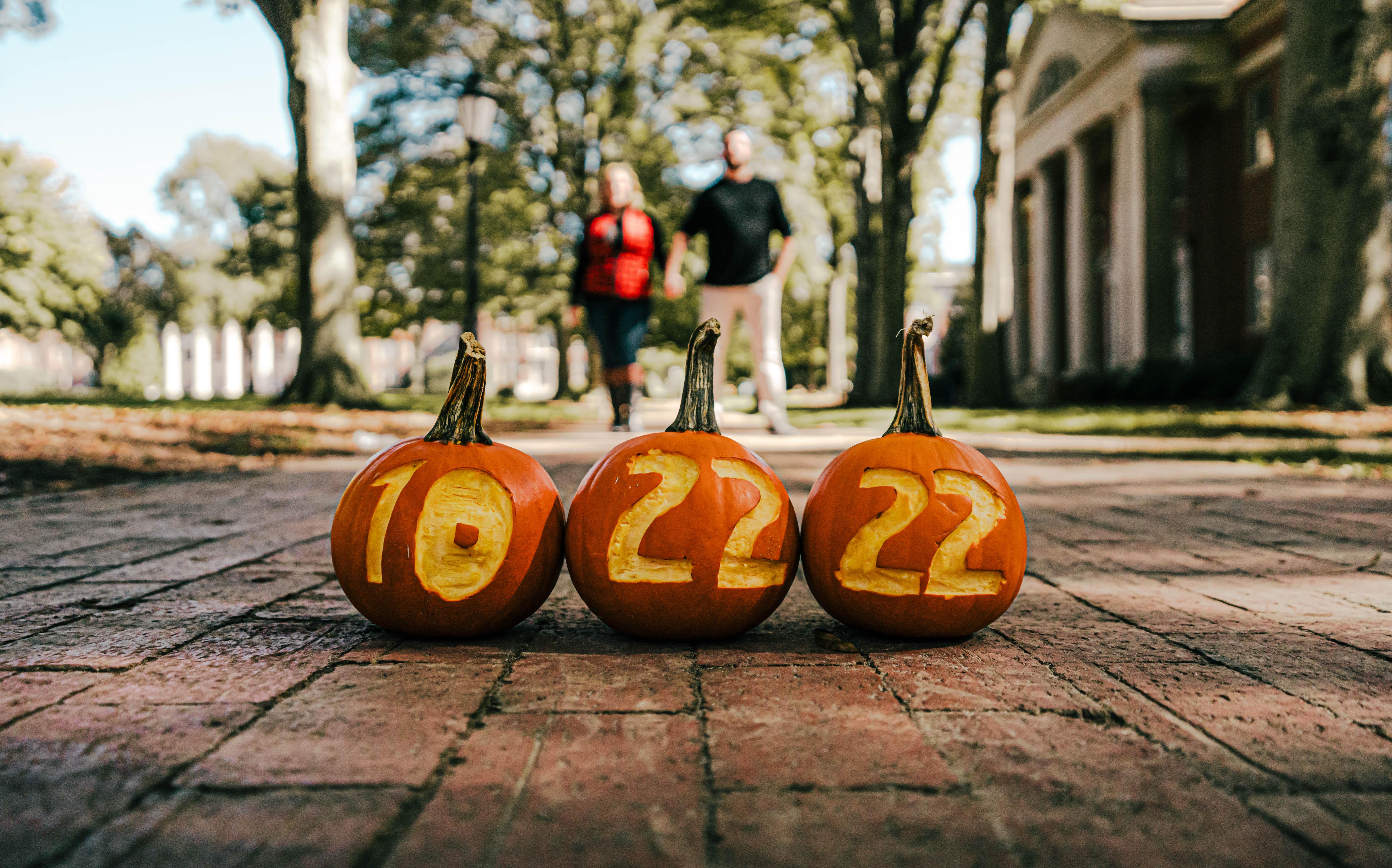 The Wedding Website of Shelby Materne and Brian Hahn