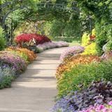 Cheekwood Botanical Garden and Museum of Art