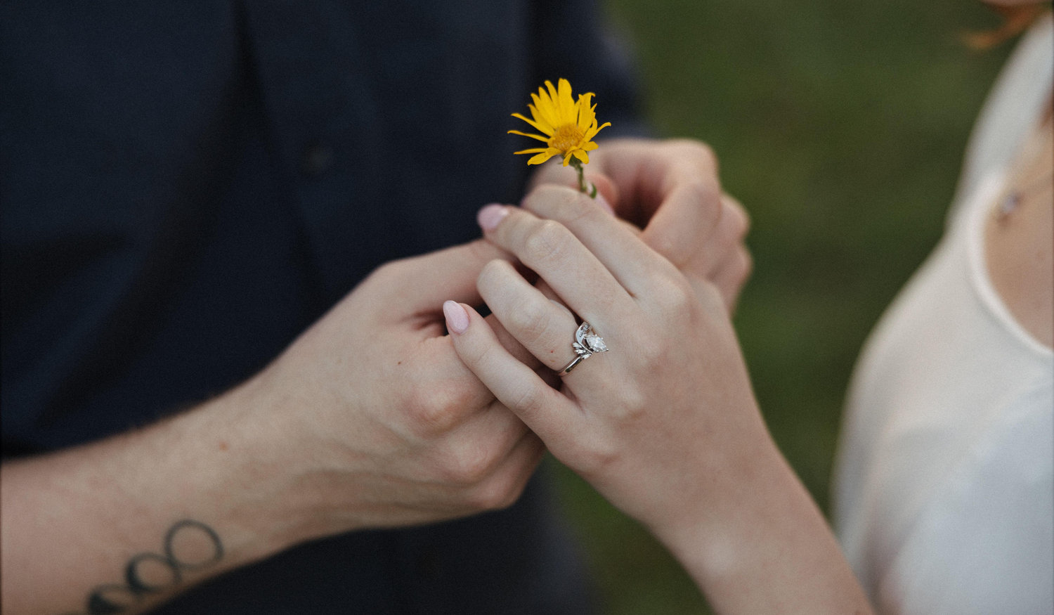 Footer image