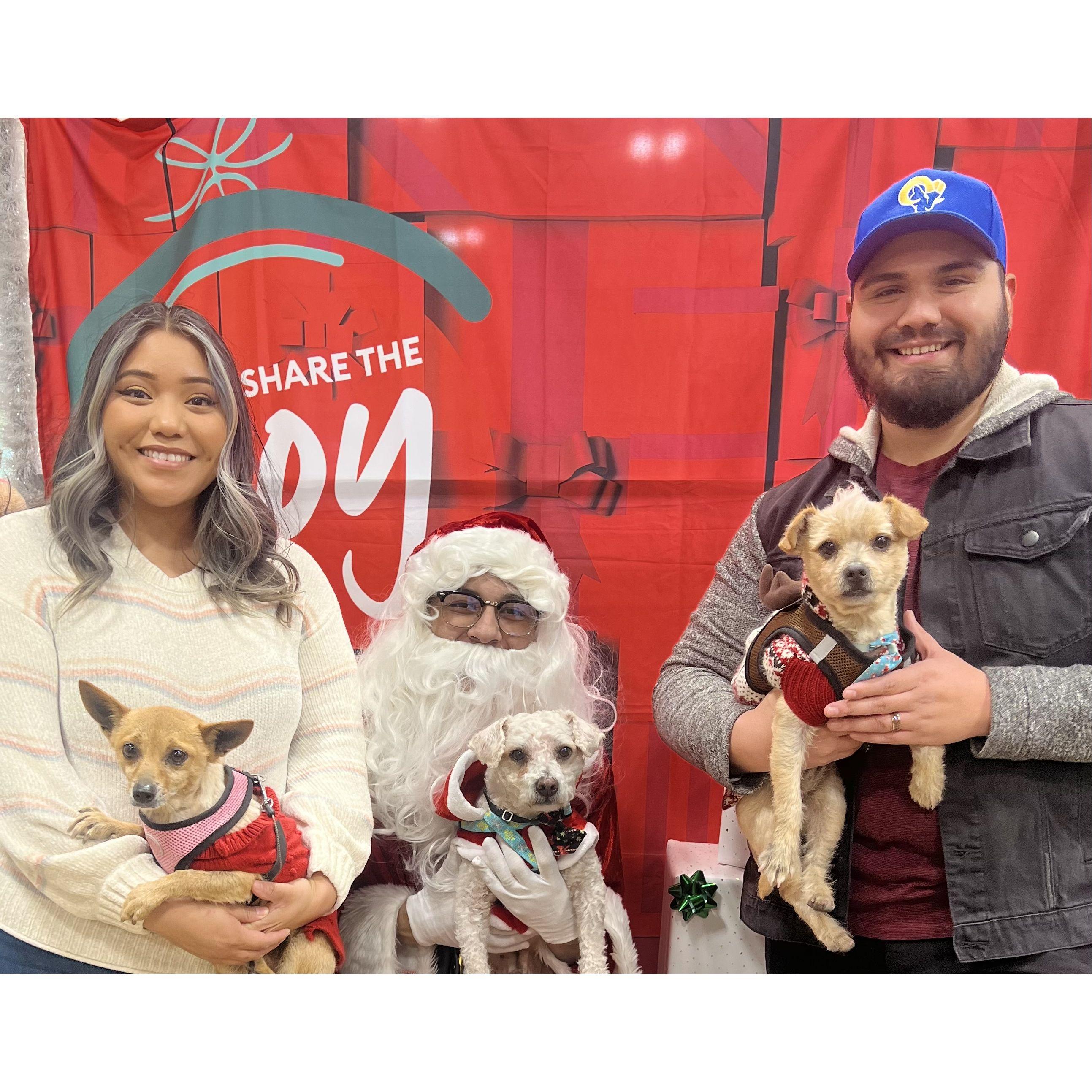 Pictures with Santa🎅🏻